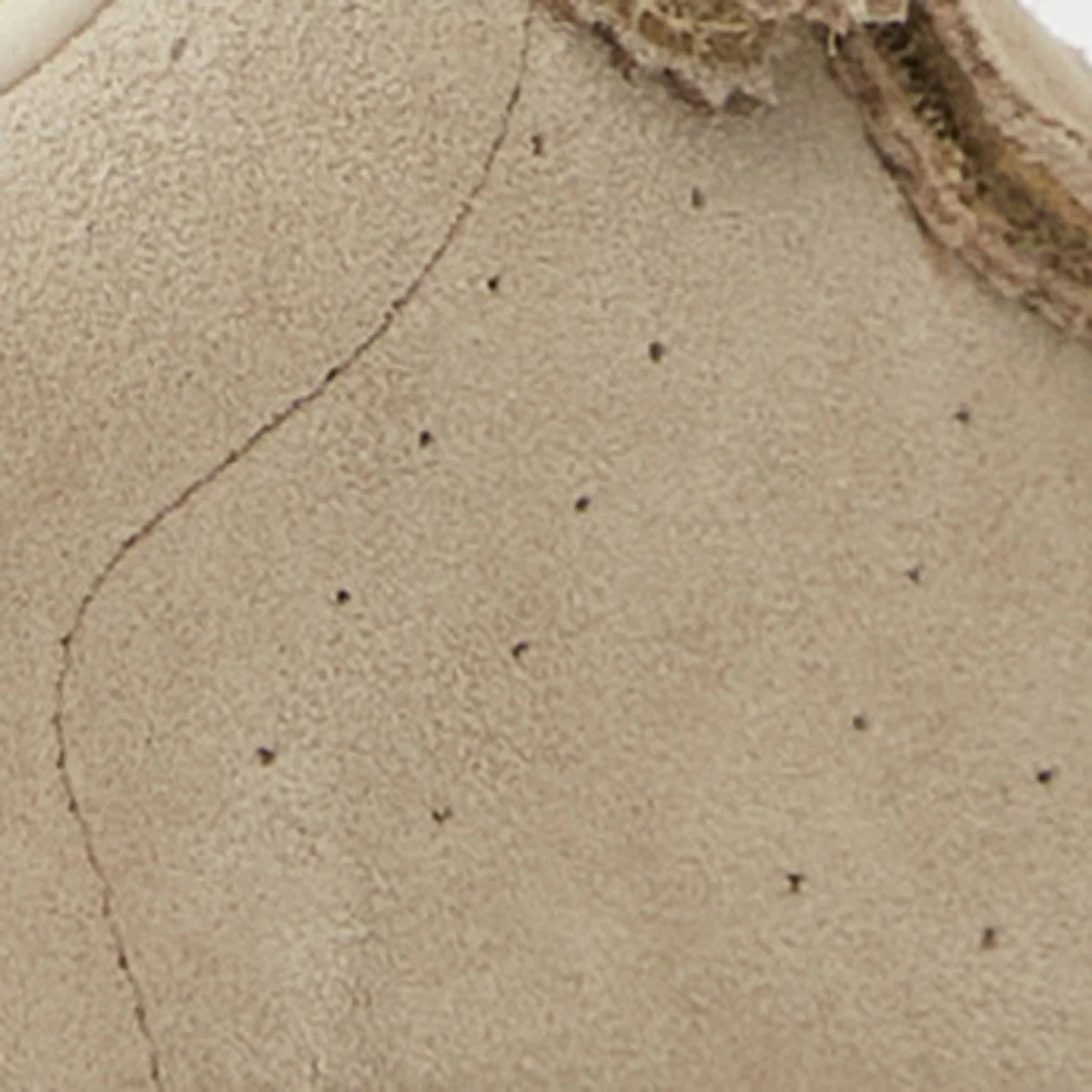 Beth Sneakers - Image 5