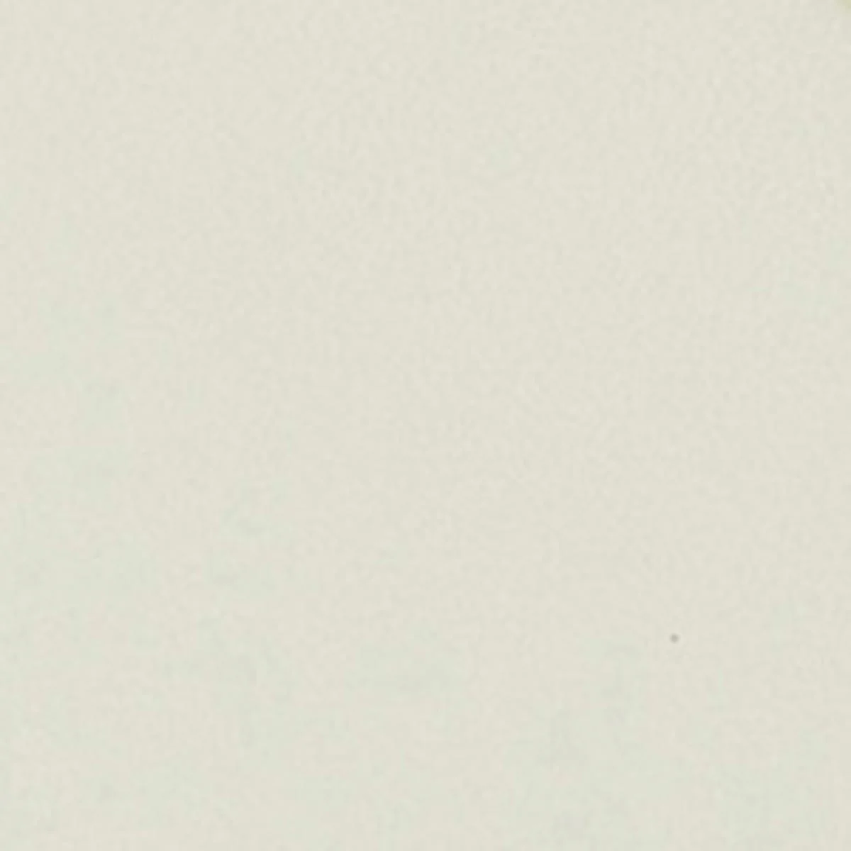 Tehora Belt - Image 5